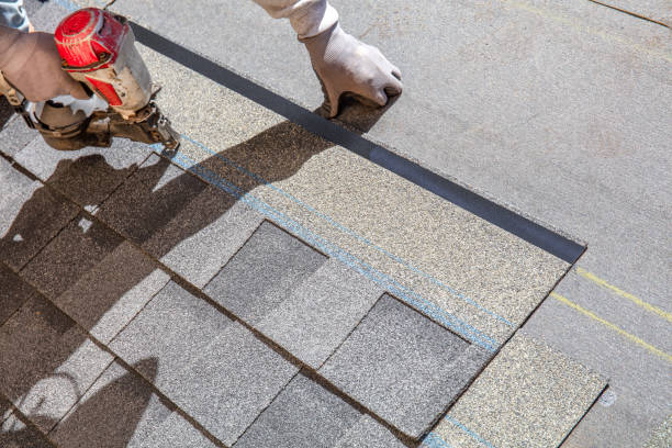 Best Roof Gutter Cleaning  in Basking Ridge, NJ